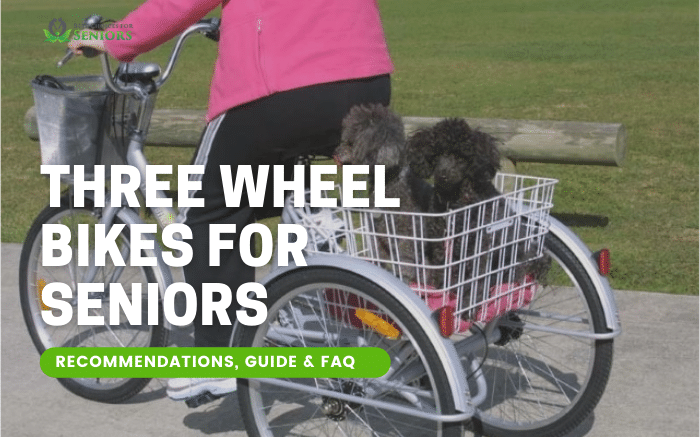 5 Best 3 Wheel Bikes for Seniors 2
